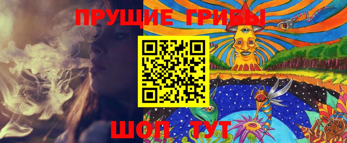 Елабуга  Галлюциногенные грибы мухоморы  даркнет сайт  Вход с VPN 